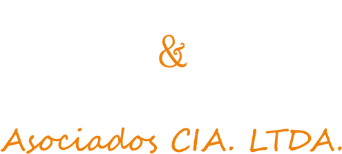 Logo L&L Asociados